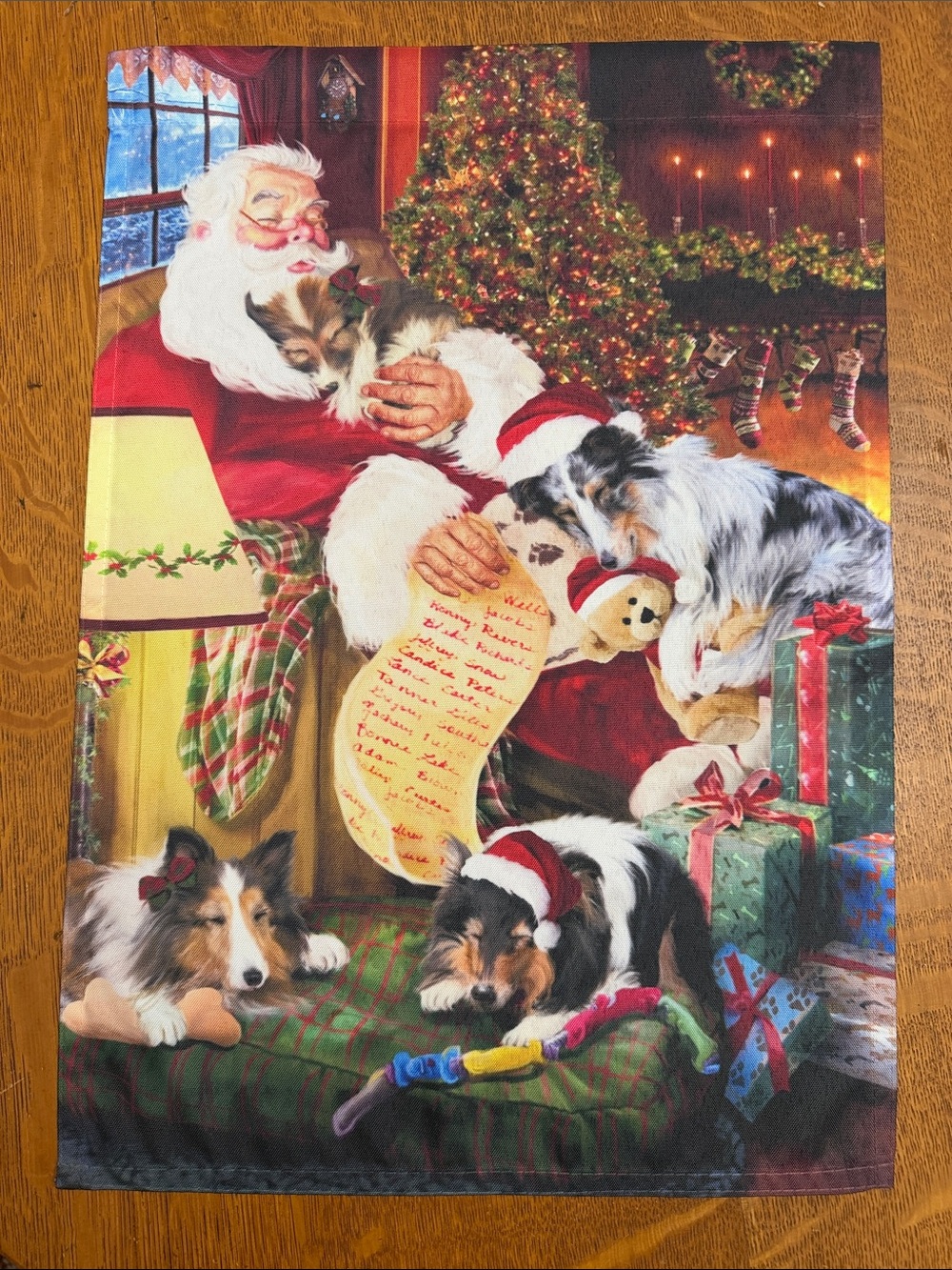 Doggie of the Day - Santa Sleeping With Sheltie Dogs Christmas Garden Flag